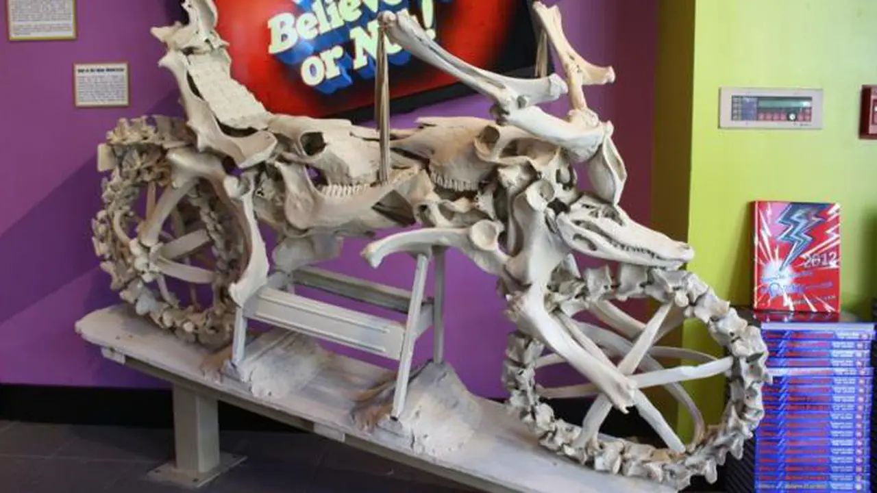 Motor Ini Terbuat dari Tulang Kambing