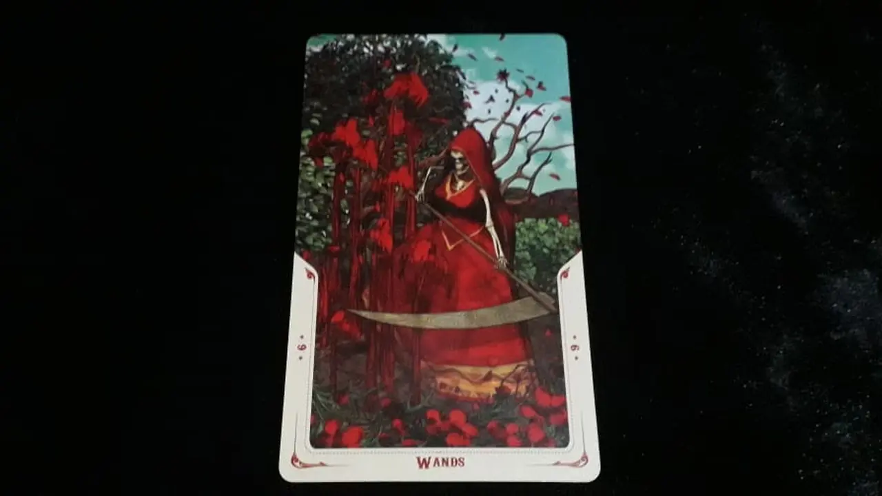 Tarot