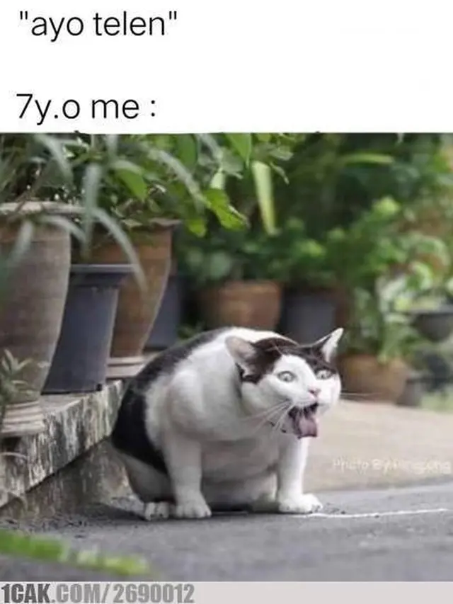 6 Meme Derita Orang Susah Minum Obat Ini Bikin Dilema