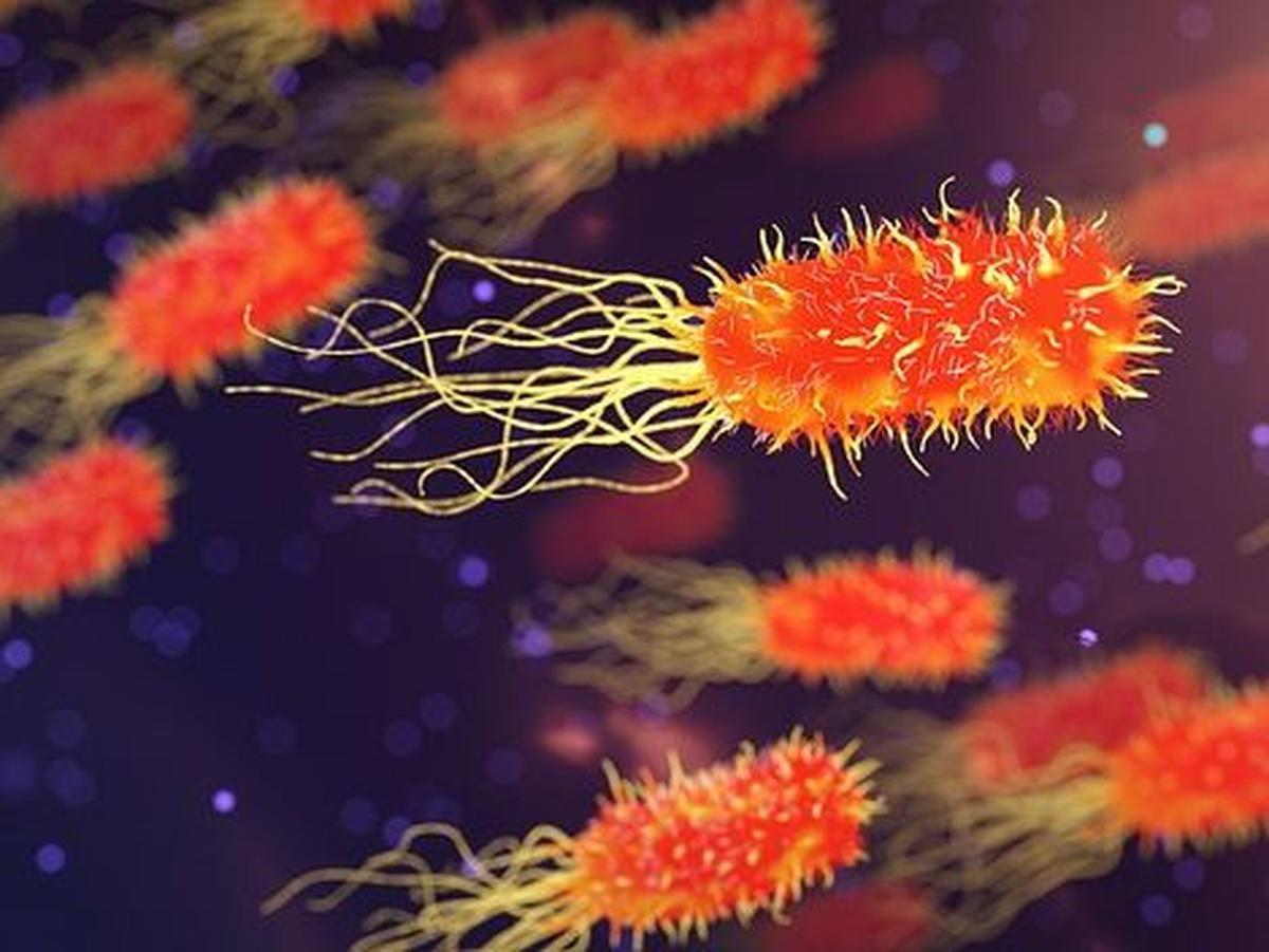 Dampak Negatif Virus