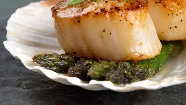 scallop