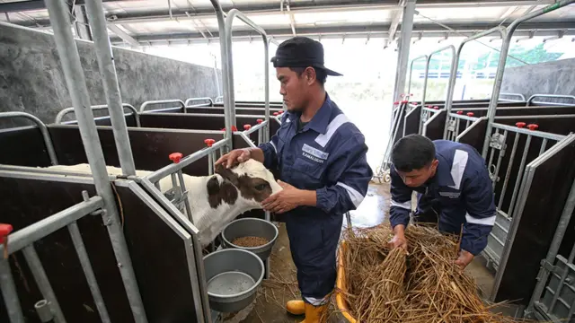Desa Susu