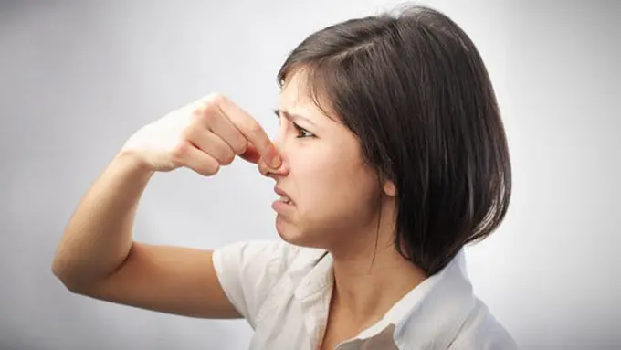 Penyebab bau amis darah menstruasi/copyright Shutterstock.com