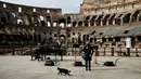 Kucing melintas saat konser yang dipersembahkan untuk pembukaan kembali Colosseum, Roma, Italia, Senin (1/2/2021). Italia mencabut sebagian langkah pembatasan yang bertujuan untuk menahan penyebaran COVID-19 pada 1 Februari 2021. (Cecilia Fabiano/LaPresse via AP)