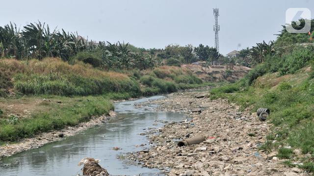 Kemarau Panjang, Kali Bekasi Hampir Kering