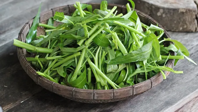 kangkung