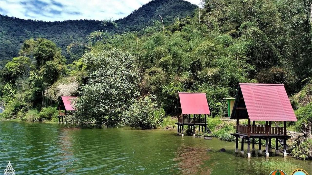 <b>Gabungan 17 Hutan</b>