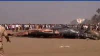 Kontrakan Terbakar hingga Paus Terdampar di India