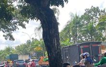 Koordinasi dengan UNHCR, Pemerintah Waspadai Sindikat TPPO di Balik Kedatangan Pengungsi Rohingya