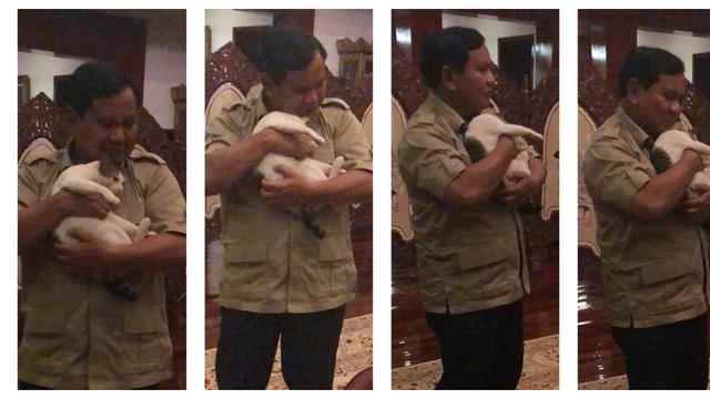 Bobby, Kucing Pak Prabowo