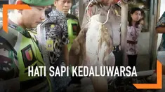 Jelang Lebaran, petugas melakukan sidak di Pasar Modern dan Tradisional Krian, Sidoarjo. Petugas temukan beberapa barang yang kedaluwarsa, salah satunya hati sapi yang membusuk dan tak layak dikonsumsi.