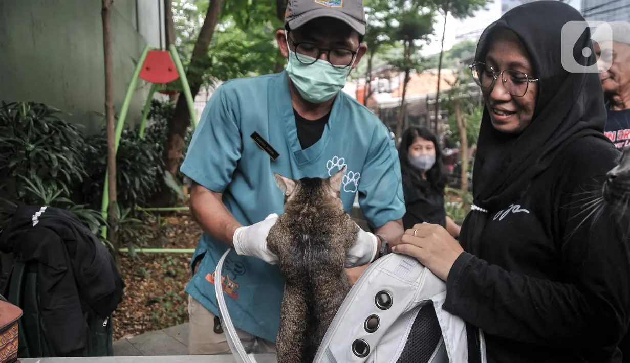 Suku Dinas Ketahanan Pangan, Kelautan, dan Pertanian (KPKP) Jakarta Selatan menggelar vaksinasi rabies secara gratis. (merdeka.com/Iqbal S. Nugroho)