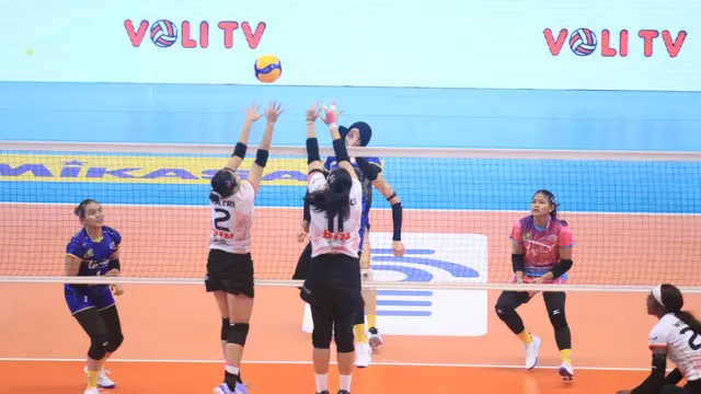 PLN Mobile Proliga 2024
