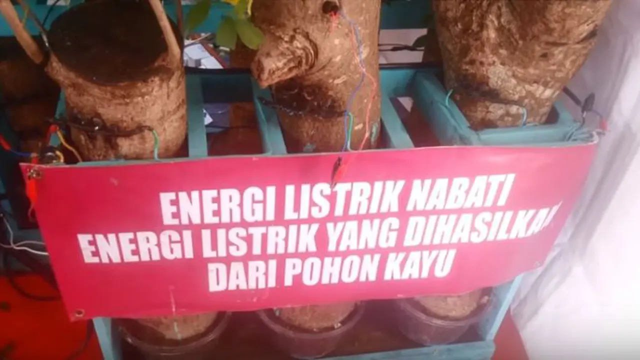 Keren! Bocah SD di Aceh Temukan Energi Listrik Dari Kayu Pohon!