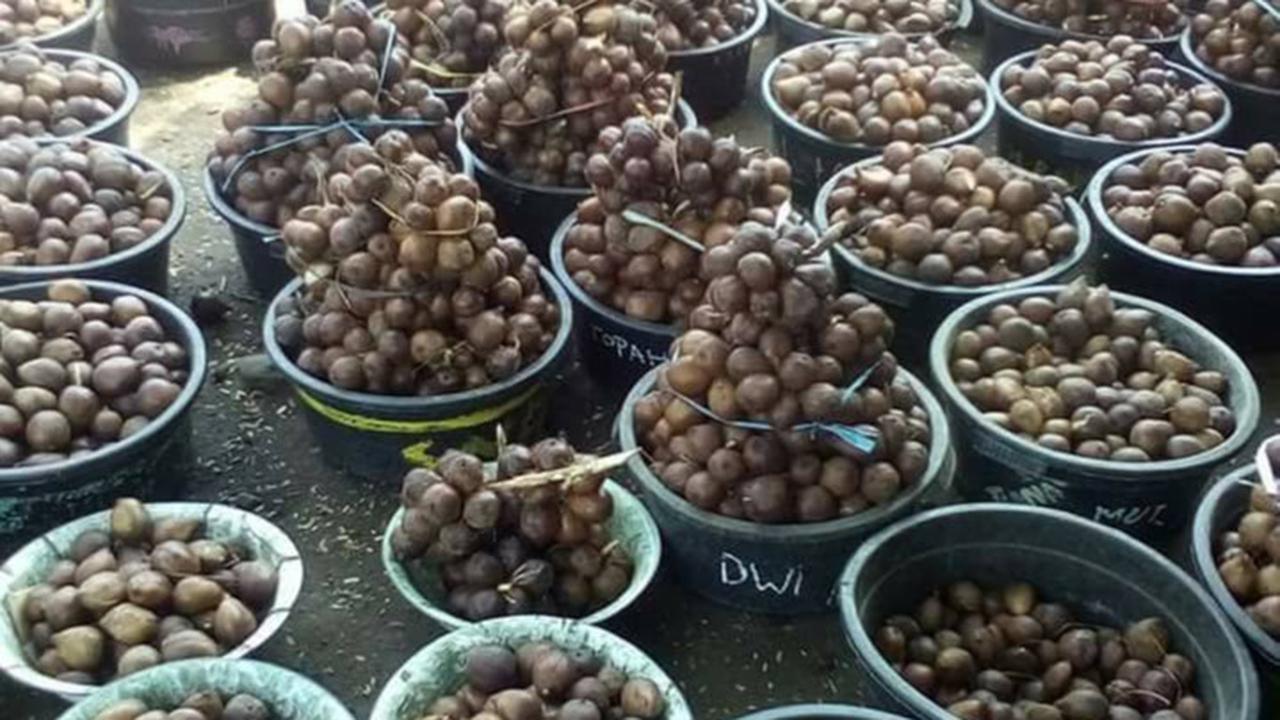 Salak Bangkalan