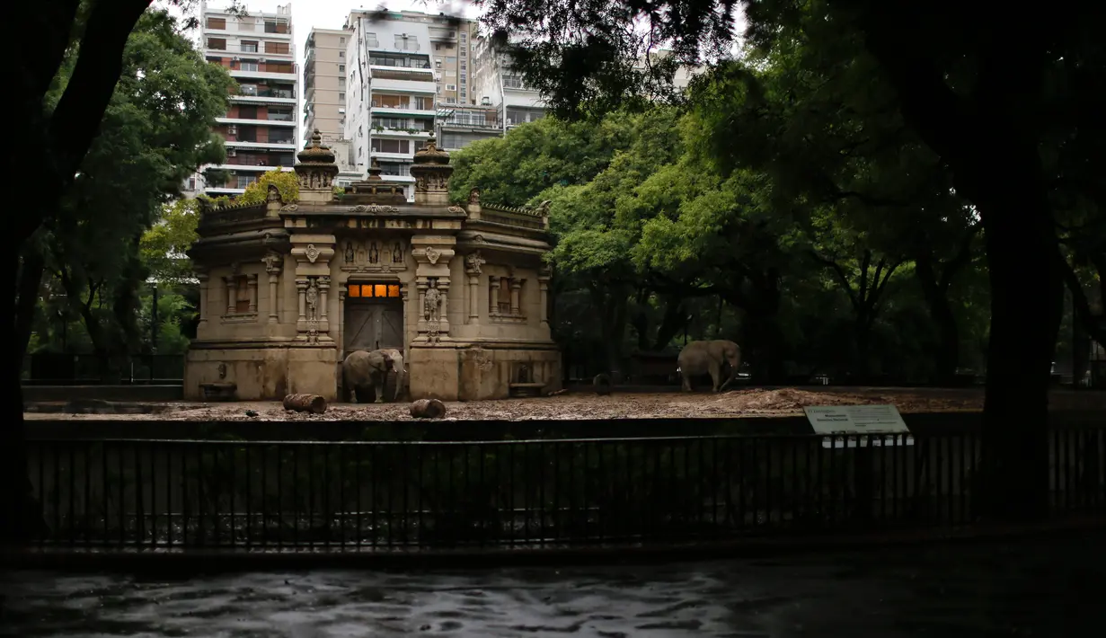 Penampakan bekas kebun binatang yang ditempati Sandra di Buenos Aires, Argentina, Selasa (16/5). Kebun Binatang tempat tinggal Sandra kini telah ditutup dan dijadikan Eco Parque (taman) oleh pemerintah setempat. (AP / Natacha Pisarenko)
