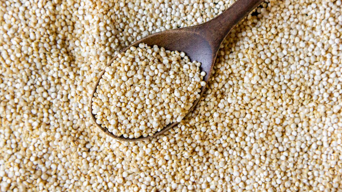 BRIN Kembangkan Sosis Ayam Berbasis Sorgum, Tinggi Protein dan Ramah untuk Pengidap Diabetes