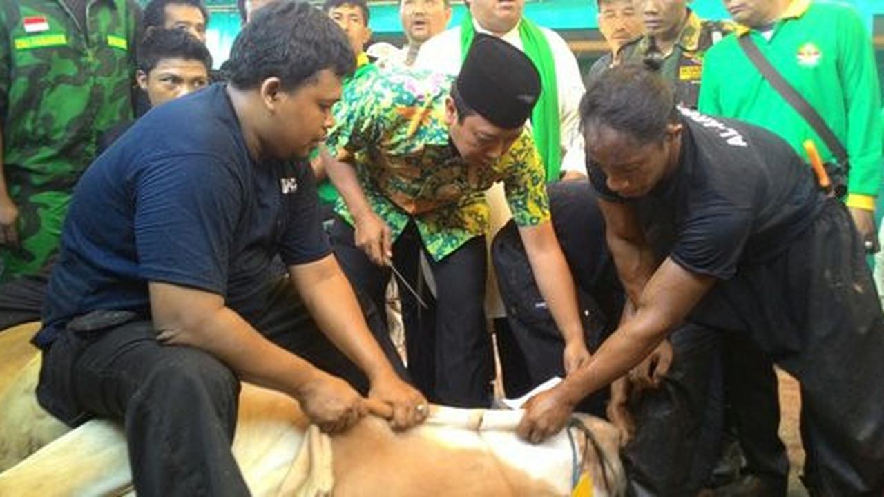 PPP kubu Romi bagikan daging kurban ke ponpes & majelis taklim