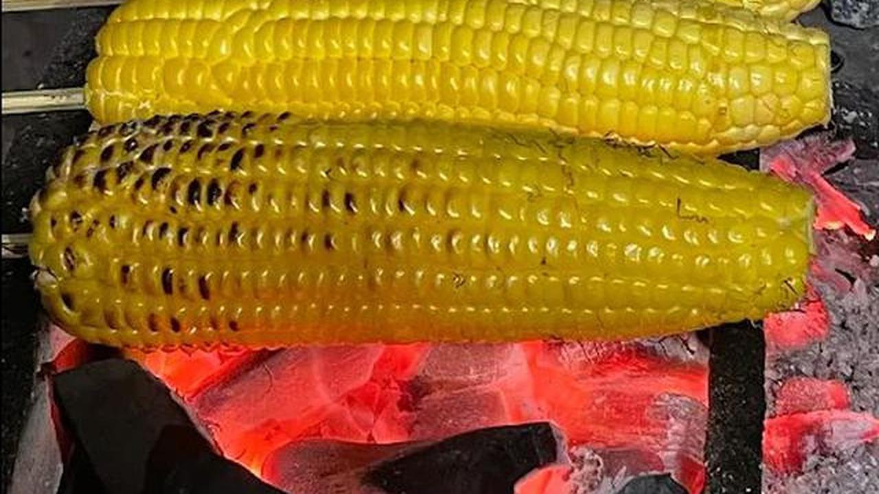 Jagung bakar kebonan