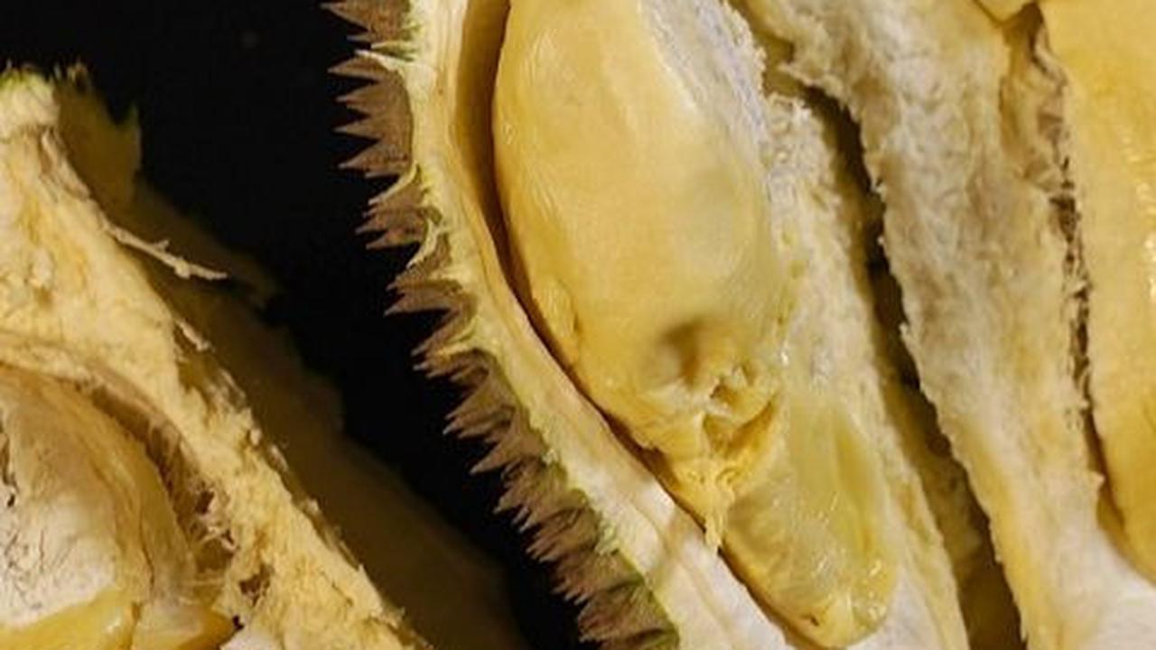 Resep Durian Kocok Aneka Varian, Minuman Lezat Menyegarkan