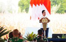 Fakta Unik: Polri Sukses Panen Raya Jagung 11,18 Juta Ton, Dukung Ketahanan Pangan Nasional