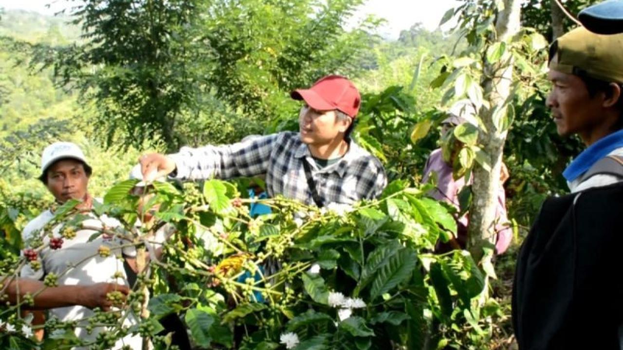 Fakta Mencengangkan: 37% Hutan Lampung Rusak, Perhutanan Sosial Jadi Kunci Pelestarian?