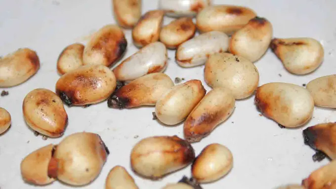 6 Manfaat Luar Biasa dari Biji Nangka