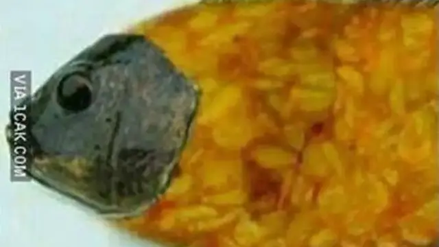 Jadi Makanan Favorit, 7 Bentuk Tempe Goreng Ini Nyeleneh Banget