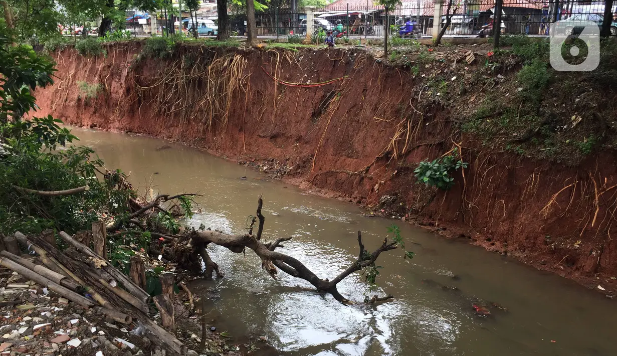 Kondisi dinding Kali Baru yang longsor di Jalan Raya Bogor, Kramat Jati, Jakarta Timur, Jumat (10/1/2020). Longsor yang terjadi akibat banjir beberapa waktu lalu tersebut berpotensi menyebabkan longsor susulan akibat tidak adanya turap yang menahan dinding kali. (Liputan6.com/Immanuel Antonius)
