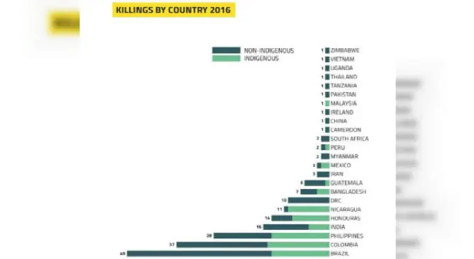 (sumber: Global Witness)