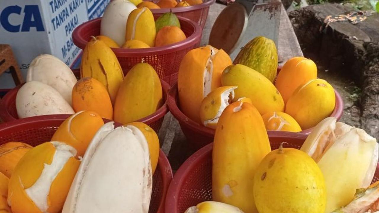 Pandeglang Pasok Tiga Ton Timun Suri Jiput ke Jakarta, Andalan Ekonomi Ramadhan