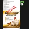 Cek Fakta: Hoaks Link Pendaftaran Bantuan Bibit Ayam untuk 5.000 Peserta