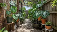 7 Inspirasi Kebun Monstera untuk Lorong Samping Rumah yang Sejuk dan Estetik