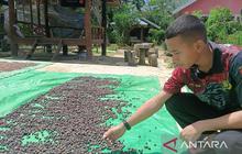 Disbun Kaltim Gelar Pelatihan Petani Kaltim di Empat Daerah, Tingkatkan Kualitas Produk Perkebunan