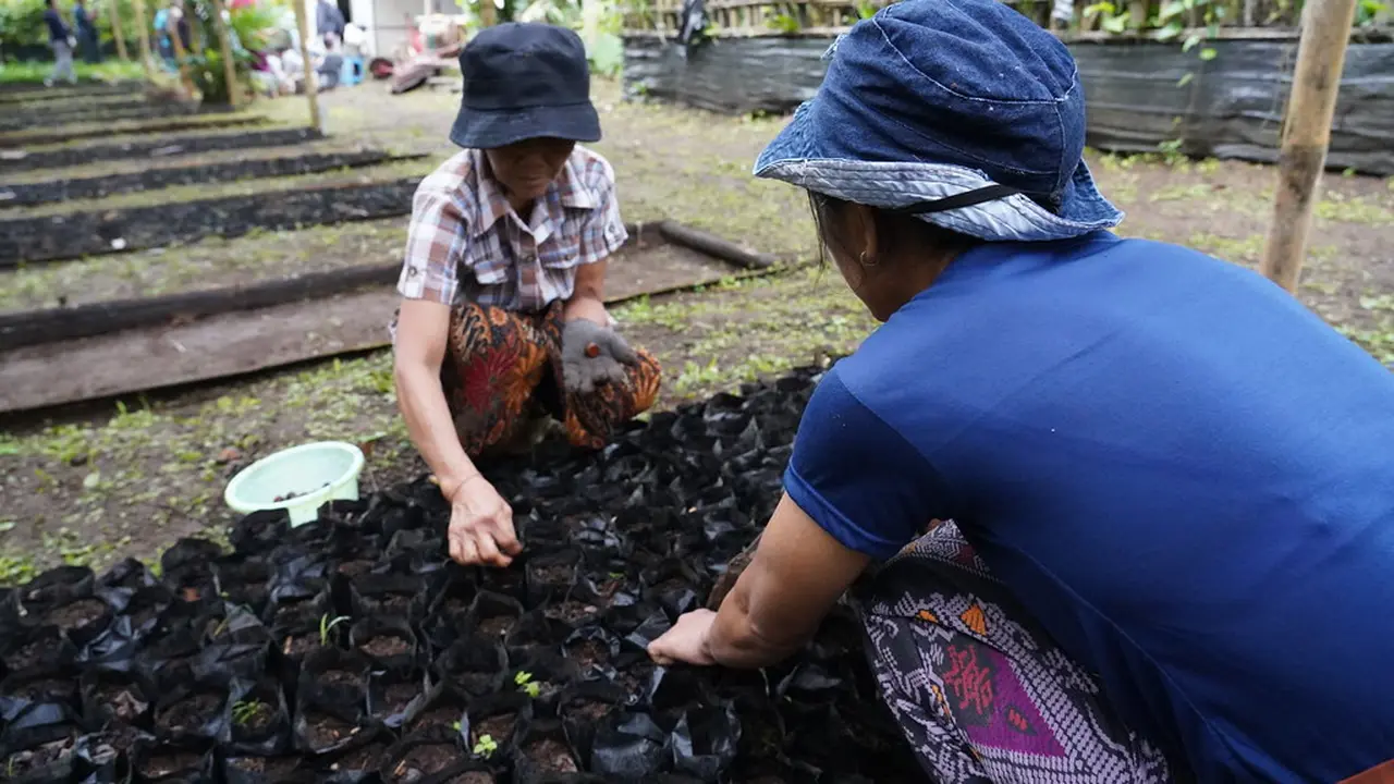 Sistem agroforestri di Karangasem -- wilayah terkering di pulau Bali -- mengintegrasikan budidaya buah salak, yang dikenal juga sebagai snake fruit karena kulitnya yang menyerupai kulit ular (Salak Agroforestry System in Karangasem, Bali).