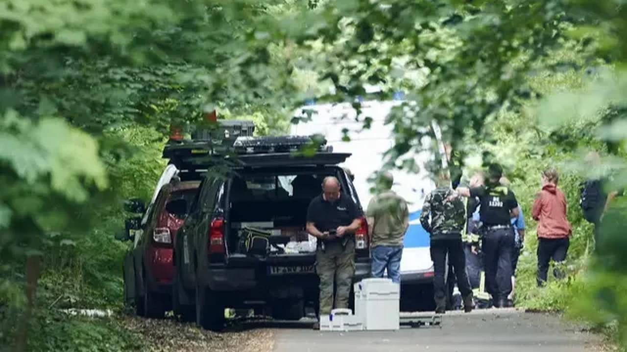 Grubert mengatakan, peringatan agar warga tetap berada di dalam rumah dicabut pada Jumat dan upaya pencarian dikurangi. Namun, lanjutnya, polisi akan siap bereaksi jika situasi berubah.

Saat informasi singa yang berkeliaran di kota ini muncul, pemerint