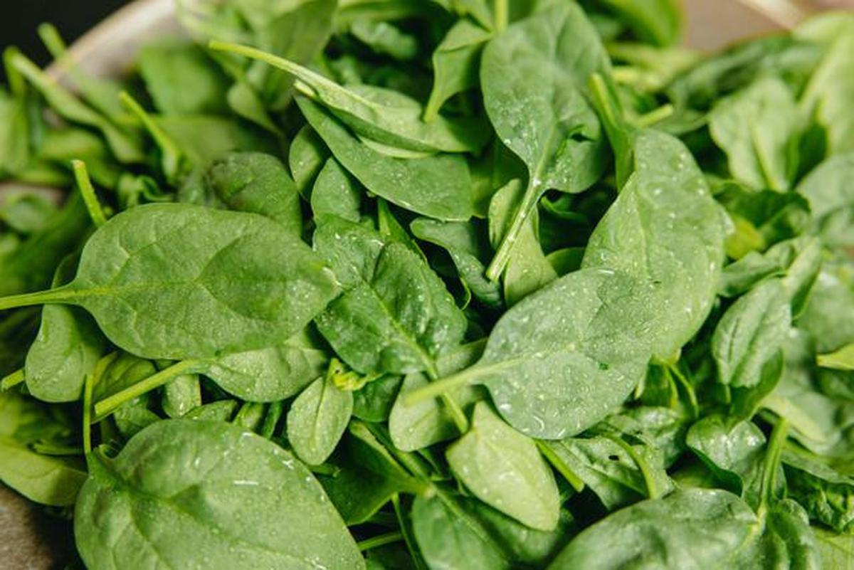 Resep Jus Detoks Tubuh untuk Diet Awal Tahun 2026, Bantu Wujudkan Resolusi