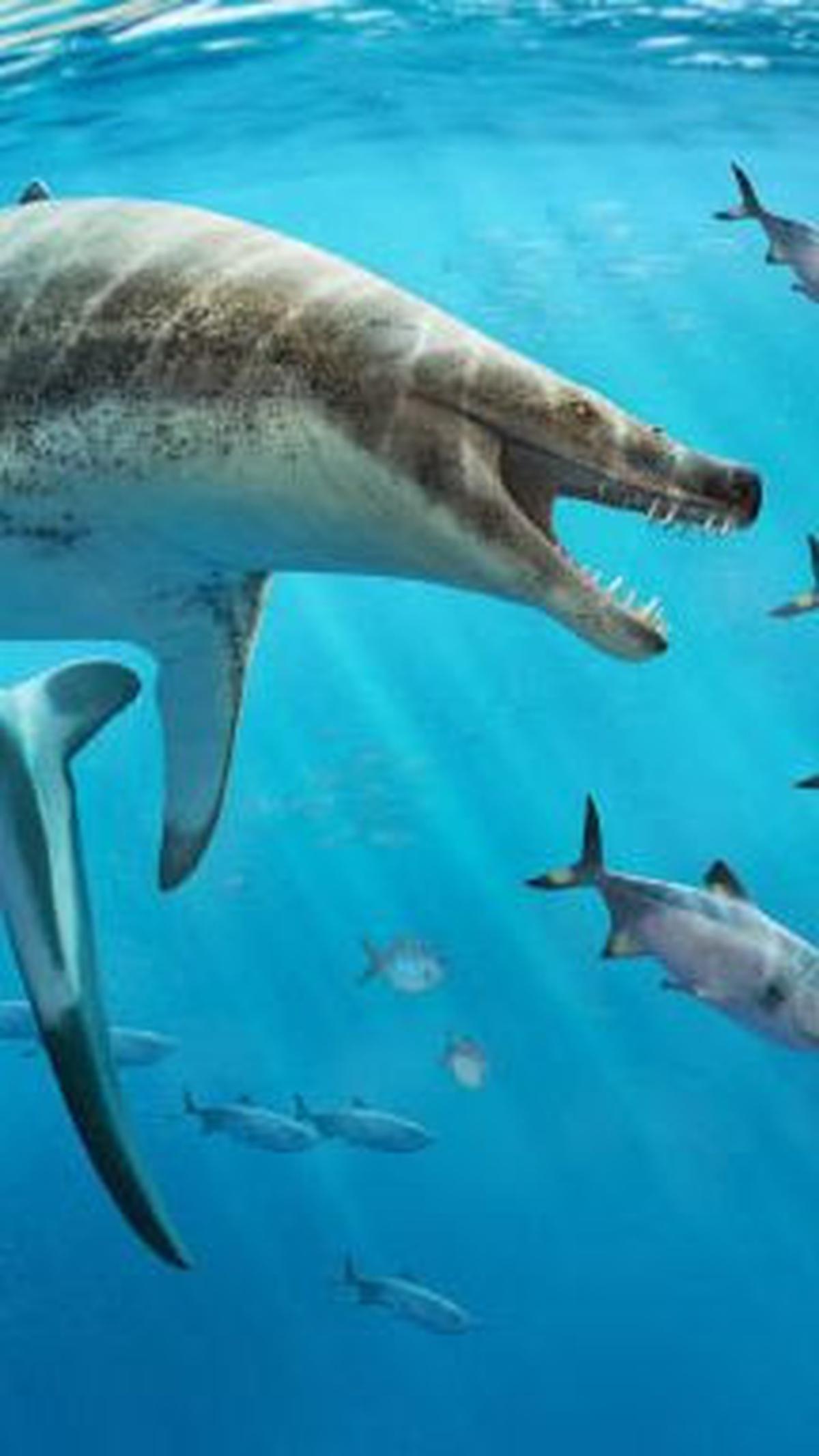 Ciri Fisik Mosasaurus
