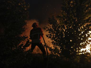 Seorang petugas pemadam kebakaran berusaha memadamkan kebakaran hutan di daerah Rio Maior di Portugal, Rabu (17/8/2022). Pihak berwenang di Portugal mengatakan mereka berharap untuk mengendalikan api yang telah membakar selama 12 hari dan membakar petak besar hutan pinus di Taman Alam Serra da Estrela. (AP Photo/Joao Henriques)