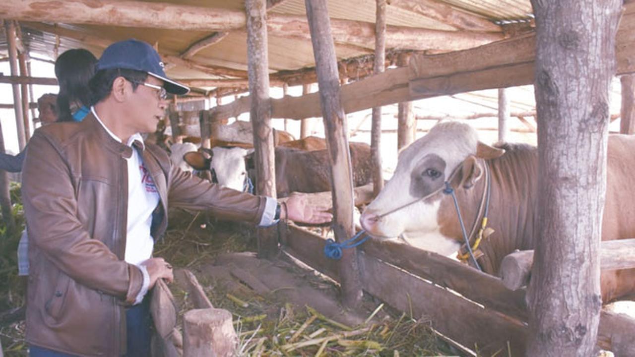 Ini Upaya Kementan Bantu Pulihkan Ekonomi Pasca Gempa NTB