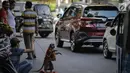 Seekor monyet melakukan aksi untuk menghibur pengguna jalan di kawasan Abdul Rachman Saleh, Jakarta, Sabtu (31/3). Meski pertunjukan ini dikritik pecinta hewan, namun atraksi topeng monyet masih dijumpai di pinggir jalan. (Liputan6.com/Faizal Fanani)