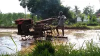 Petani sedang membajak sawah yang akan ditanami padi (Mohamad Fahrul/Liputan6.com).