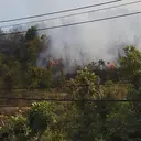 Kebakaran Hanguskan 20 Hektare Lahan di Trans Berelang Batam