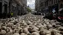 Ratusan domba saat diajak para peternak dalam aksi unjuk rasa menentang kebijakan 'Plan Loup' di Kota Lyon, Prancis, (9/10). Menurut peternak, kebijakan pemerintah tersebut hanya merugikan para peternak. (AP Photo / Laurent Cipriani)