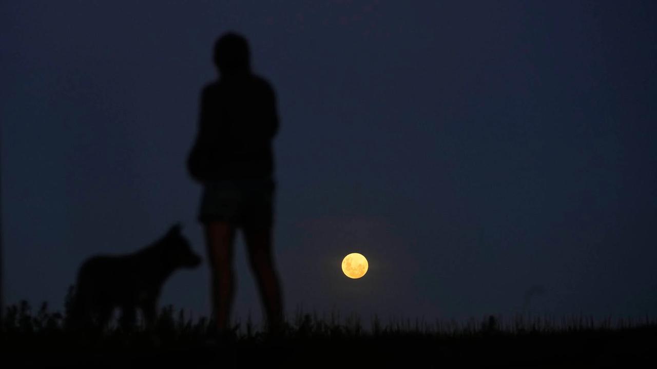 FOTO: Supermoon Wolf Moon Awali Fenomena Langit Tahun 2026
