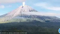 Gunung Semeru erupsi dengan ketinggian letusan mencapai 800 mdpl (Istimewa)