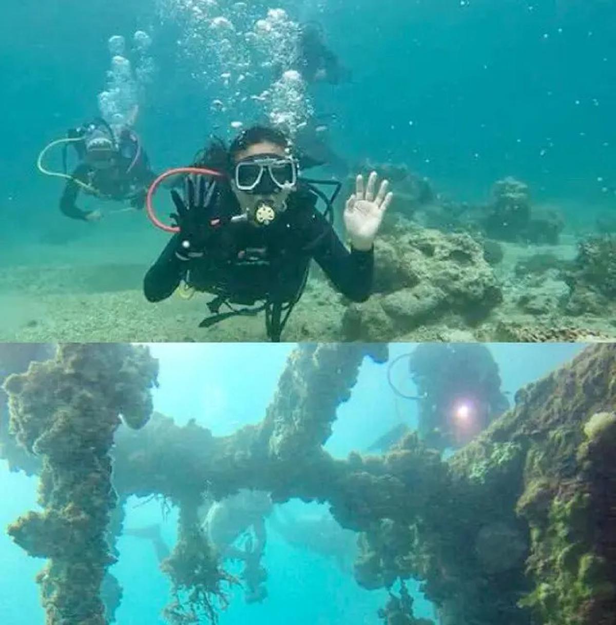 3 Taman Laut Indonesia Masuk Daftar Tempat Menyelam Terbaik di Asia Versi City Nomads, Apa Saja?