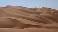 Ilustrasi gurun pasir (Wikipedia)