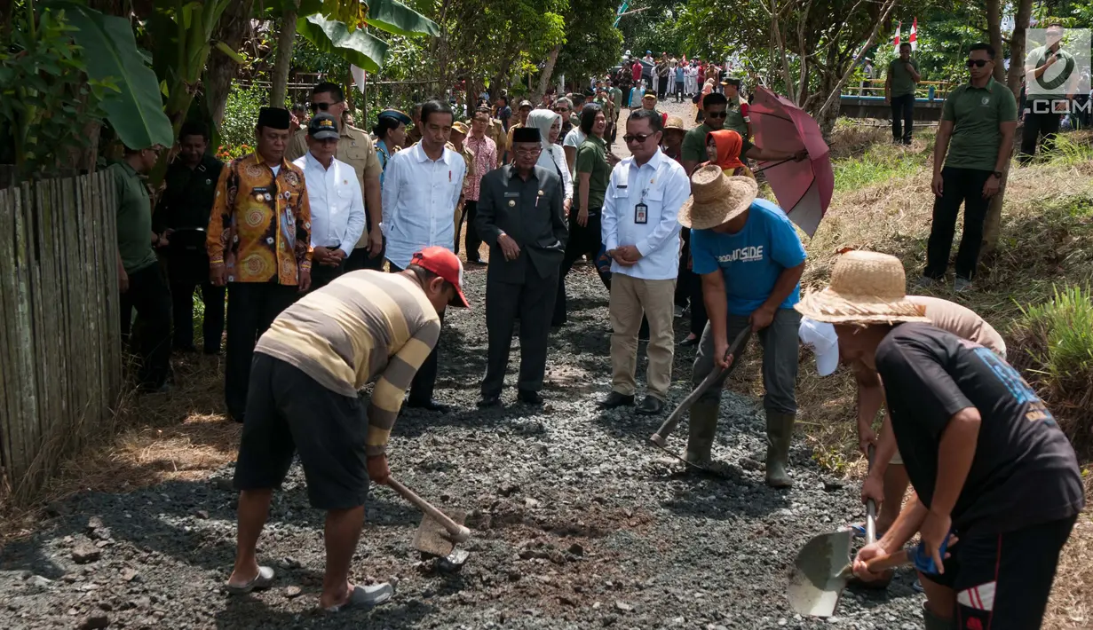 Presiden Jokowi meninjau pembangunan akses jalan menuju persawahan yang berada di Desa Pematang Panjang, Kabupaten Banjar, Kalimantan Selatan, Senin (26/3). Pembangunan dilakukan untuk memudahkan akses warga menuju area persawahannya. (Liputan6.com/Pool)