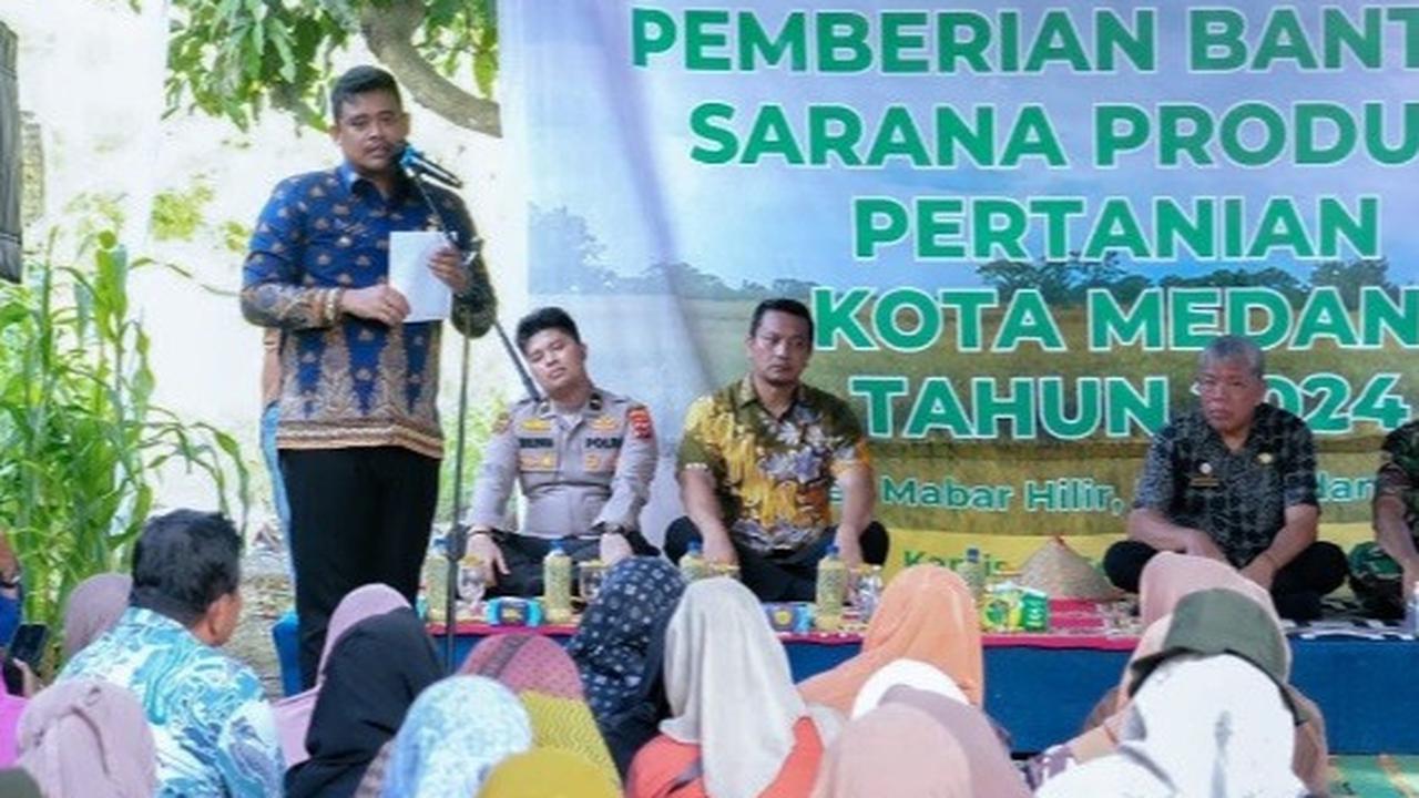 Bobby Nasution Panen Raya Padi di Kelurahan Mabar Hilir Pasar IV Kecamatan Medan Deli